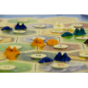 Catan: Uitbreiding 5/6 spelers