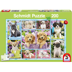 Puppies, 200 stukjes