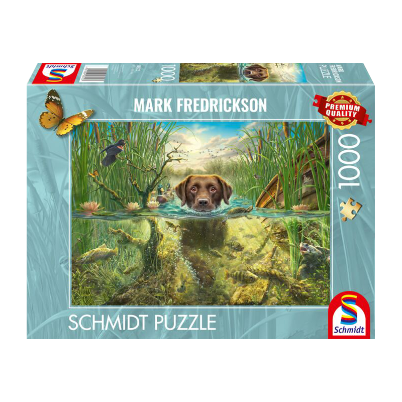 Hondenliefde-bruine labrador in verkoelende water Schmidt