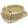 National Geographic 3D Puzzel The Colosseum