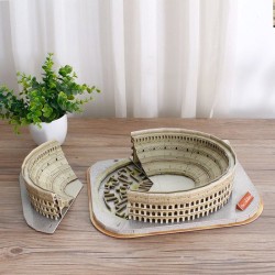National Geographic 3D Puzzel The Colosseum