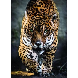 Clementoni - Puzzel - 1000 Stukjes - Walk of the Jaguar