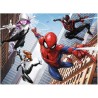 Spiderman: De kracht van de spin 200XXL