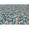 Donald Duck 1000 stukjes