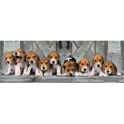 Panorama Beagels: 1000 stukjes