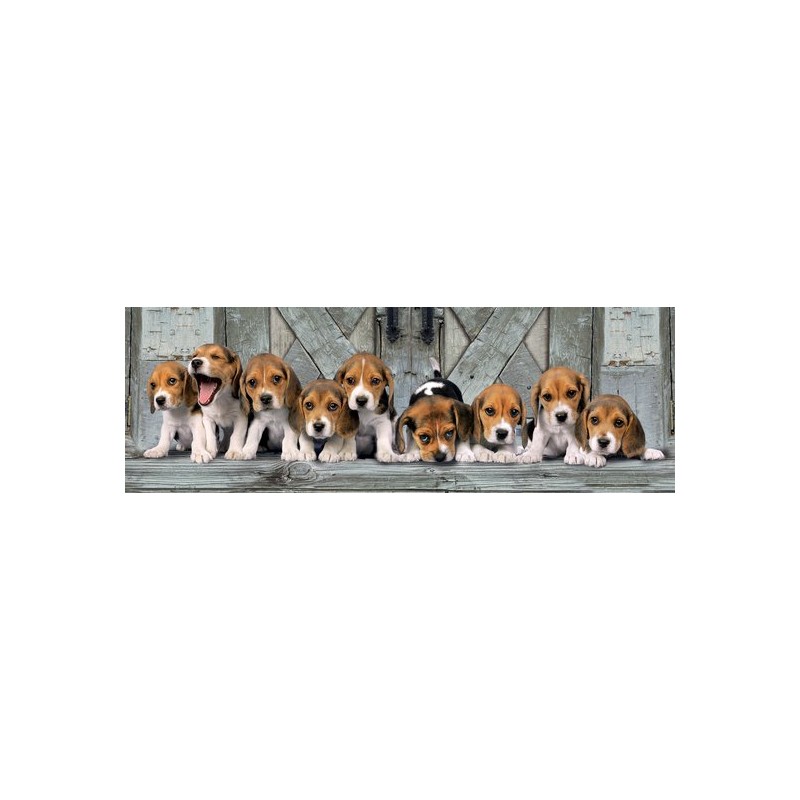 Panorama Beagels: 1000 stukjes