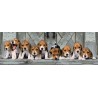Panorama Beagels: 1000 stukjes