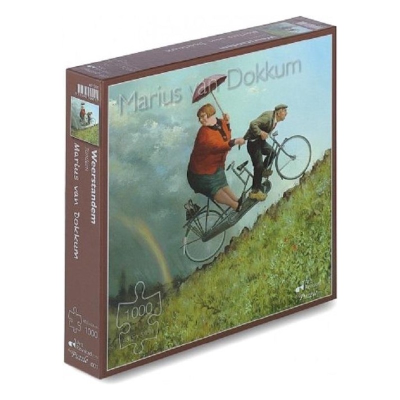 Marius van Dokkum: Weerstandem
