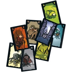 Drie Magiers Spellen Kakkerlakkenpoker - Kaartspel voor 8+ jaar