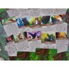 Everdell uitbreiding: Bellfaire