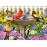 Ravensburger 500 xxl het vogelbadje
