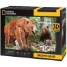 National Geographic 3D Puzzel - Buine Beer