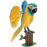 National Geographic 3D Puzzel - Bleu throathed macaw - blauwe papagaai