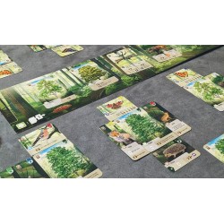 Lookout Games - Forest Shuffle - Nederlandstalig Kaartspel