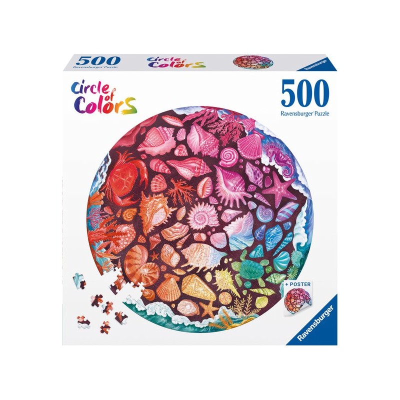 Circle of Colors Seashells