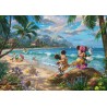 Mickey en Minnie in Hawai