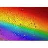 regendruppel regenboog: 1000 stukjes