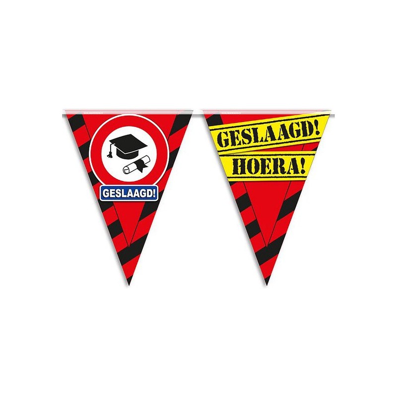 Party vlag - Geslaagd school