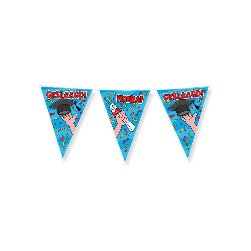 Vlaggenlijn - geslaagd/afstudeer feest