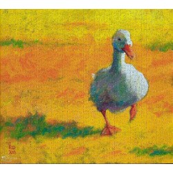 Witte Eend - Theo Onnes...