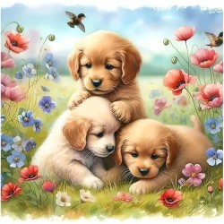 Diamond painting 20x30 cm:...