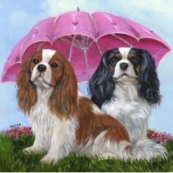 Diamond painting 20x30 cm:...