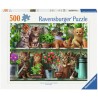 Ravensburger puzzel dieren Katjes in het rek - 500 stukjes.
