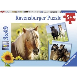 Ravensburger puzzel Schattige Pony's - 3x49 stukjes