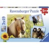 Ravensburger puzzel Schattige Pony's - 3x49 stukjes