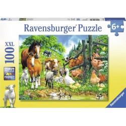 Dierenbijeenkomst 100XXL