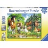 Dierenbijeenkomst 100XXL
