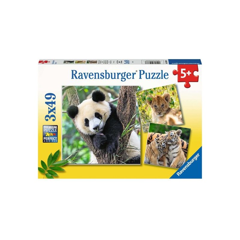 3x49 Panda, Tijger en Leeuw