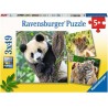 3x49 Panda, Tijger en Leeuw
