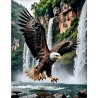 Diamond painting - adelaar -  50x40 cm