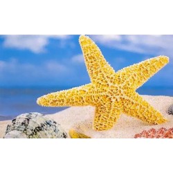 Diamond painting  – strand...