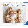 Kleine dromer (little dreamer) 500 stukjes