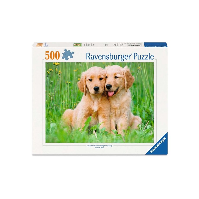 Golden retriever brothers 500 stukjes