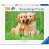 Golden retriever brothers 500 stukjes