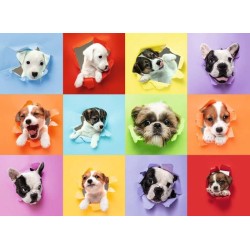 Ravensburger Puppy Pop Out Puzzel 300 XXL Stukjes