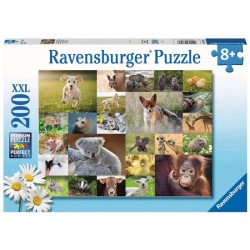 Ravensburger puzzel...