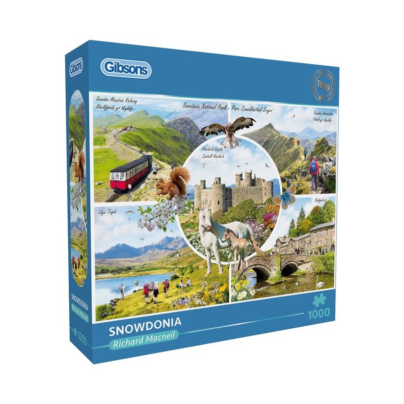 Gibson: Snowdonia