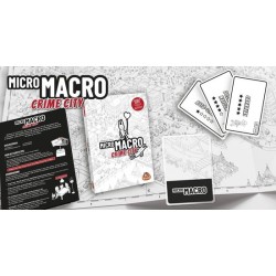 Micro macro crime city