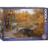 Eurographics puzzle: Autumn in an old park
