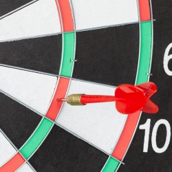 Dartbord X1 - 43 cm - tweezijdig speelbaar - klassiek - met 6 pijlen - thuis - steeldarts - zwart-wit