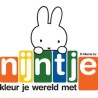 Nijtntje